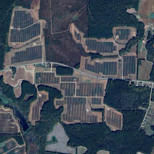 Chestnut Solar in Enfield, NC (Google Maps)