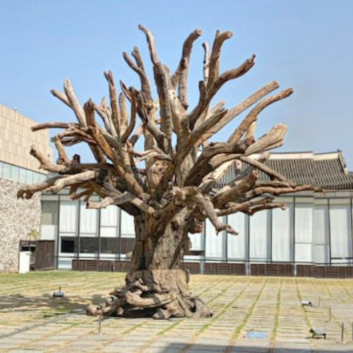 'Tree' by Ai Weiwei in Seoul, Republic of Korea (Google Maps) (#3)