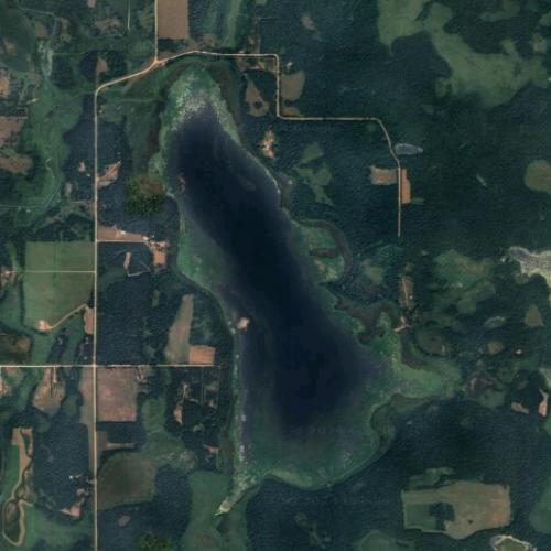 Rice Lake, Todd County, Minnesota in Browerville, MN (Google Maps)