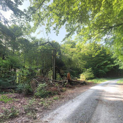 Naturpark Spessart (DLFF-0115) in Rothenbuch, Germany (Google Maps)