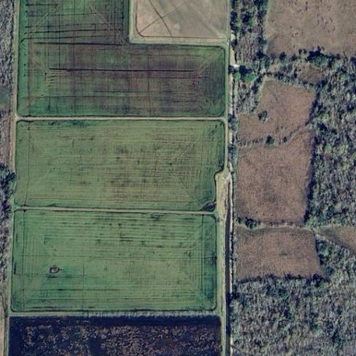 Forked Island in Intracoastal City, LA Virtual Globetrotting