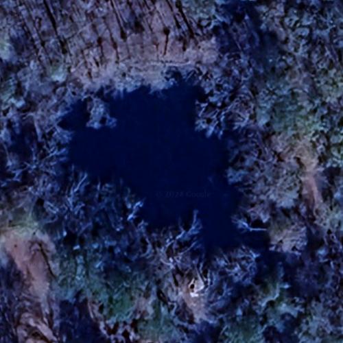 Havard Lake in Kinder, LA (Google Maps)