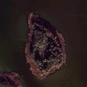 Leśny Ostr&oacute;w (Google Maps)