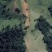 1555m Summit - Sul / Sudoeste - Minas State - Brazil (PY4/SM-097)