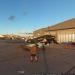 P-40B Warhawk