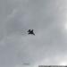 Romanian F-16AM in flight