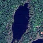 Harriet Lake