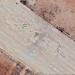 Syrian MiG-23s