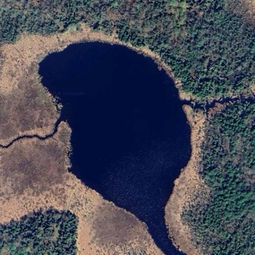 Kickapoo Lake in Watersmeet Township, MI (Google Maps)