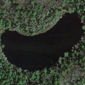 Little Mosquito Lake (Google Maps)
