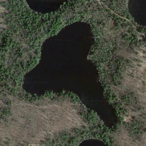 Big Mosquito Lake (Google Maps)