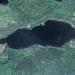 Martj&auml;rvi
