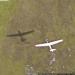 Glider in flight