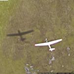 Glider in flight