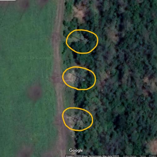 Russian Msta-S SPGs in a treeline in Syeverodonets’k, Ukraine - Virtual ...