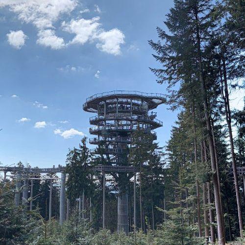 Treetop walk in Sankt Englmar, Germany - Virtual Globetrotting