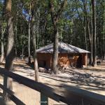 Russian drone attack on Feldman Ecopark