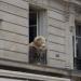 Teddy bear in the window