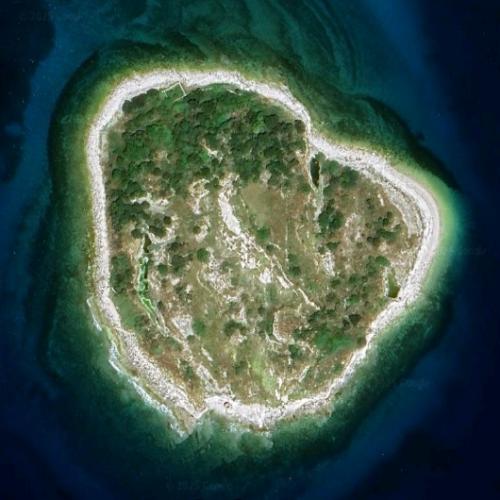 Obljak Islet in Brijuni, Croatia (Google Maps)