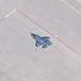 USAF F-35A