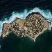 Ngor Island