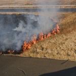 Roadside fire