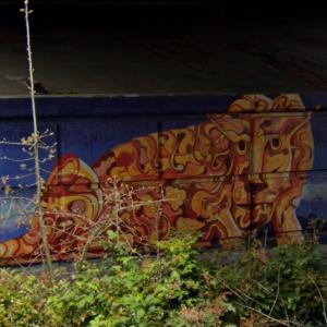 Cougar Under The Bridge (StreetView)