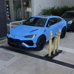 Lamborghini Urus Performate in Miami