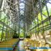 Thorncrown Chapel interior