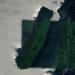 Mangrove Island