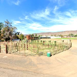 Spray Rodeo in Spray, OR - Virtual Globetrotting