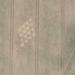 Crop Circle