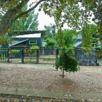 'Ivy Villa Stables and Studio' by Ora Joubert