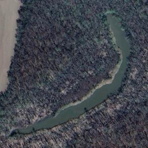 Carrico Lake (Google Maps)