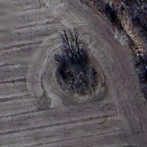 Schulte - Meyer Cemetery (Google Maps)