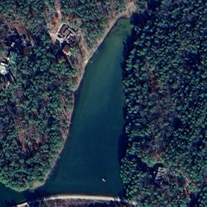 Pine Tree Lake East (Google Maps)