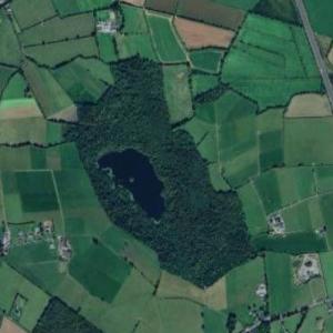 Grantstown Wood / Grantstown Lough (EIFF-0051) (Google Maps)