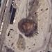 Abandoned Turntable