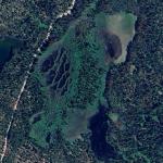 Bull Swamp