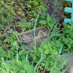 Anne Spencer Marker