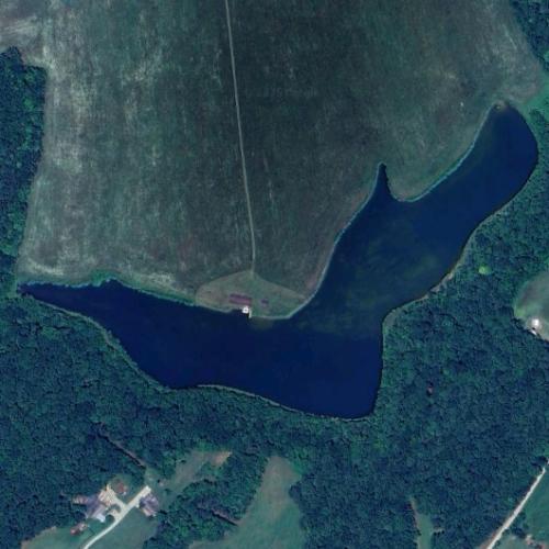 Brisentine Pond in Prospect, VA (Google Maps)