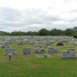 Olive Branch Cemetery