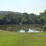 Buckland Oaks Pond