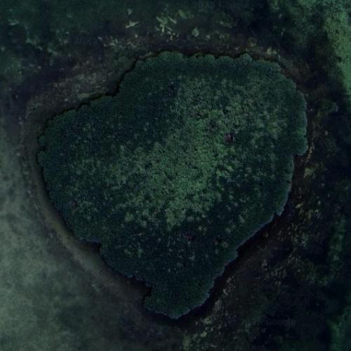 West Arsenicker Key in Ocean Reef, FL (Google Maps)
