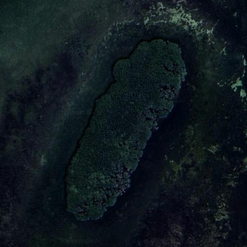 Arsenicker Key in Ocean Reef, FL (Google Maps)