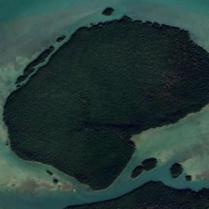 Broad Key in Ocean Reef FL Virtual - Broad Key