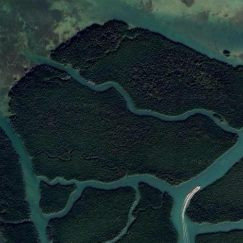 Linderman Key in Ocean Reef FL - Linderman Key