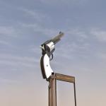 Stanton’s Giant Gun