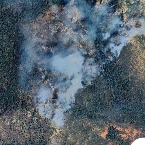 Forest fire in Pine AZ 3 - Forest Fire 2