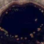Hog Lake